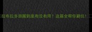 拉布拉多颈圈到底有没有用这篇全帮你避坑