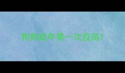 狗狗成年第一次疫苗