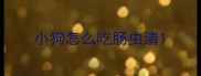 小狗怎么吃肠虫清