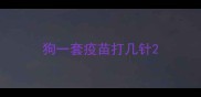 狗一套疫苗打几针