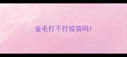 金毛打不打疫苗吗