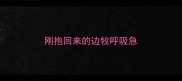刚抱回来的边牧呼吸急