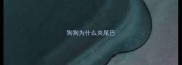 狗狗为什么夹尾巴
