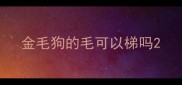 金毛狗的毛可以梯吗