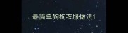 最简单狗狗衣服做法