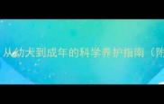 哈士奇全周期毛发发育从幼犬到成年的科学养护指南附护理技巧与常见问题