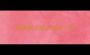 狗狗测大腿体温准不准