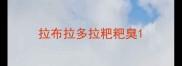 拉布拉多拉粑粑臭