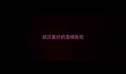 武汉最好的宠物医院