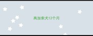 高加索犬12个月