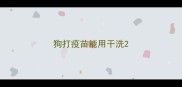 狗打疫苗能用干洗