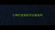 小狗打疫苗后可以驱虫吗