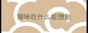 猫咪吃什么能堕胎