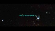 狗打疫苗后大量锻炼