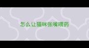 怎么让猫咪张嘴喂药