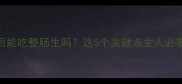 泰迪犬呕吐后能吃整肠生吗这5个关键点主人必看附喂药攻略