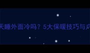 边牧幼犬冬天睡外面冷吗5大保暖技巧与户外生存指南