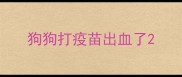 狗狗打疫苗出血了
