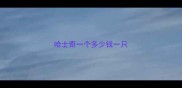 哈士奇一个多少钱一只