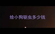 给小狗驱虫多少钱