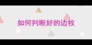 如何判断好的边牧