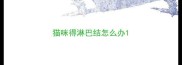 猫咪得淋巴结怎么办