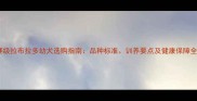 赛级拉布拉多幼犬选购指南品种标准训养要点及健康保障全