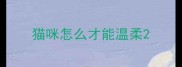 猫咪怎么才能温柔