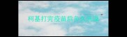 柯基打完疫苗后多久洗澡