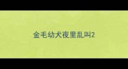 金毛幼犬夜里乱叫
