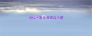 边牧进家几天可以洗澡