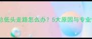 拉布拉多总低头走路怎么办5大原因与专业饲养建议