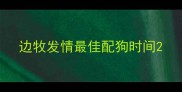 边牧发情最佳配狗时间