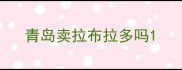 青岛卖拉布拉多吗