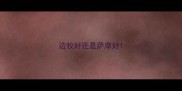 边牧好还是萨摩好