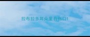 拉布拉多耳朵里有伤口
