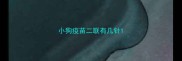 小狗疫苗二联有几针