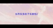拉布拉多肚子长脓包