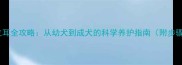小东德立耳全攻略从幼犬到成犬的科学养护指南附步骤图解