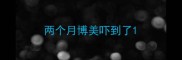 两个月博美吓到了