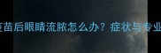 狗狗接种疫苗后眼睛流脓怎么办症状与专业护理指南
