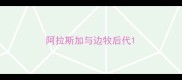 阿拉斯加与边牧后代