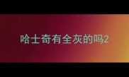 哈士奇有全灰的吗