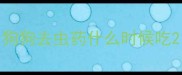 狗狗去虫药什么时候吃