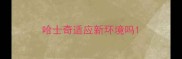 哈士奇适应新环境吗