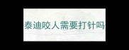 泰迪咬人需要打针吗