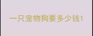 一只宠物狗要多少钱