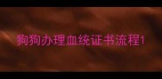 狗狗办理血统证书流程