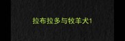 拉布拉多与牧羊犬