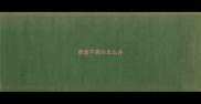 泰迪不高兴怎么办